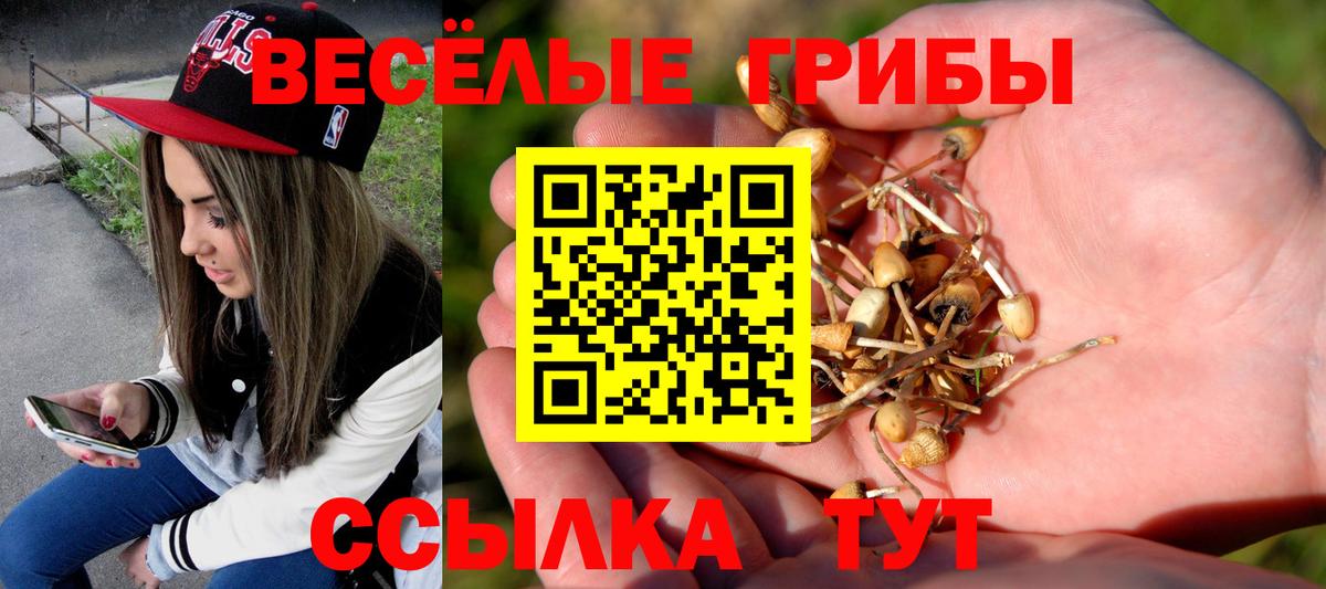 Малгобек  Галлюциногенные грибы мухоморы  Вход с VPN 