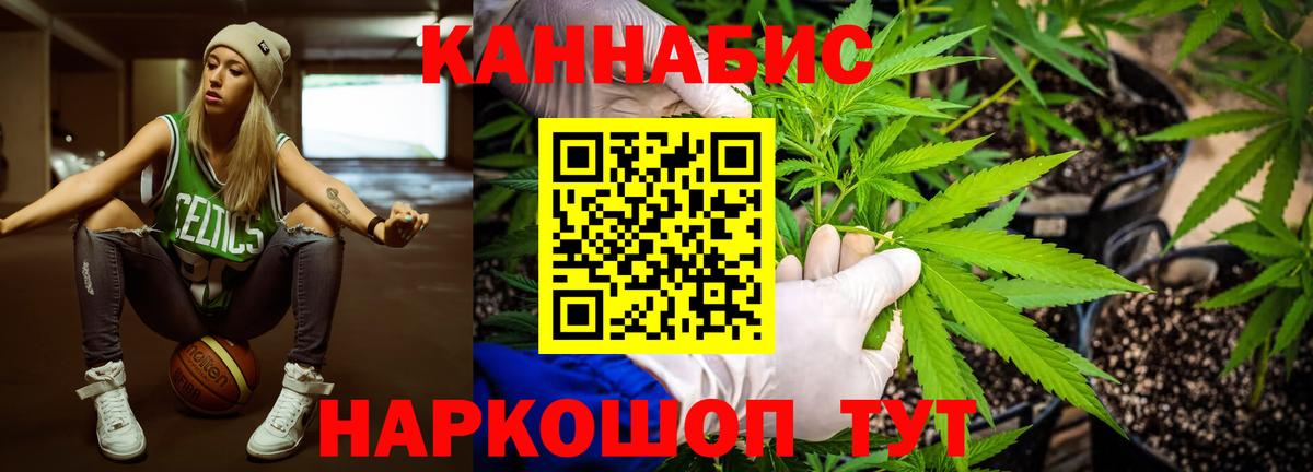 Канабис индика Малгобек